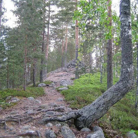 Pajarinhovi 3*